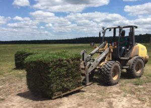 sod farm, sod pallets, pickup, order, sod delivery, sod,installation,install,order,