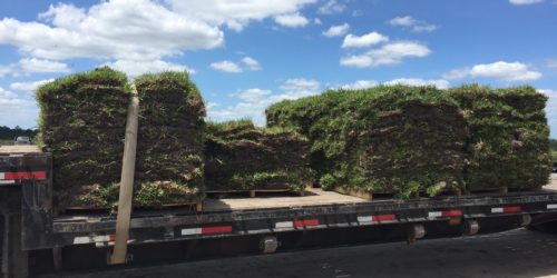 sod delivery,sod services,grandview,Ocala,Marion County,Florida