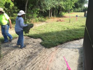 sod installation services