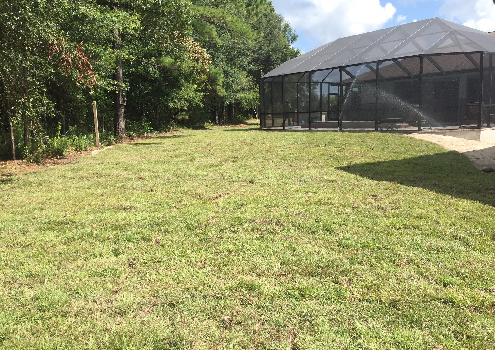 residential sod,installation,ocala,st augstine,