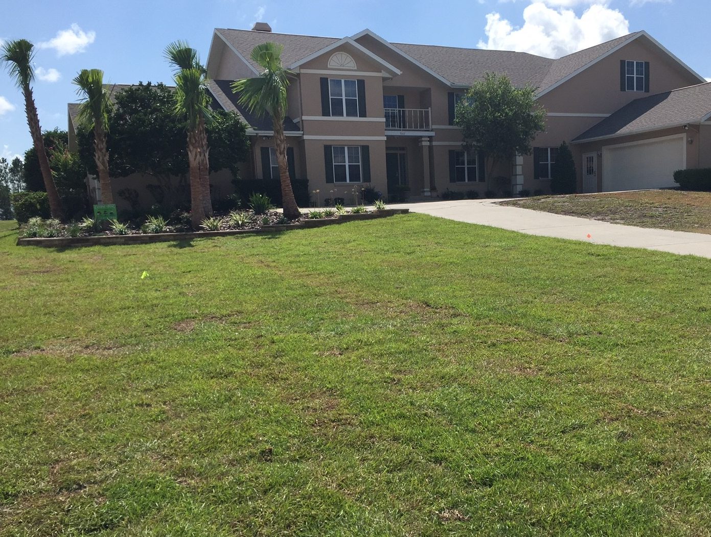 Centipede sod,installation,ocala